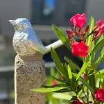 Colibri-design&beach Mit 40m2 Terrasse Und 2 Sups דירה פיישצ'נה אובלה